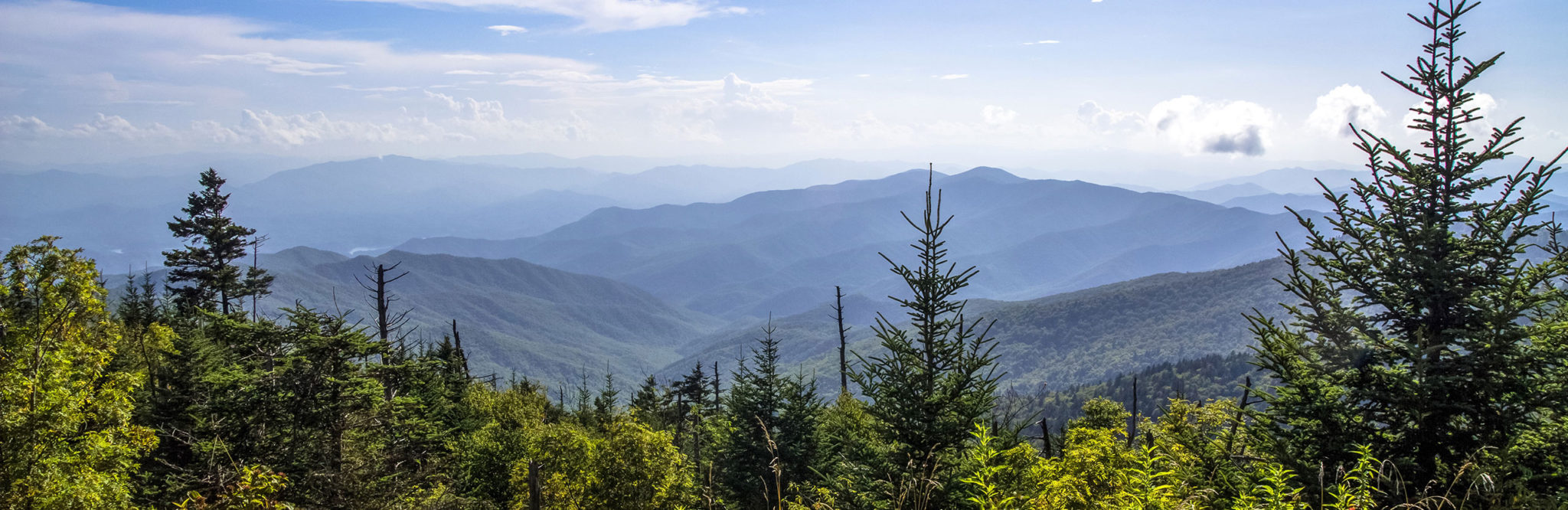 7 Questions Land Sellers Should Ask Vacant Land Buyers