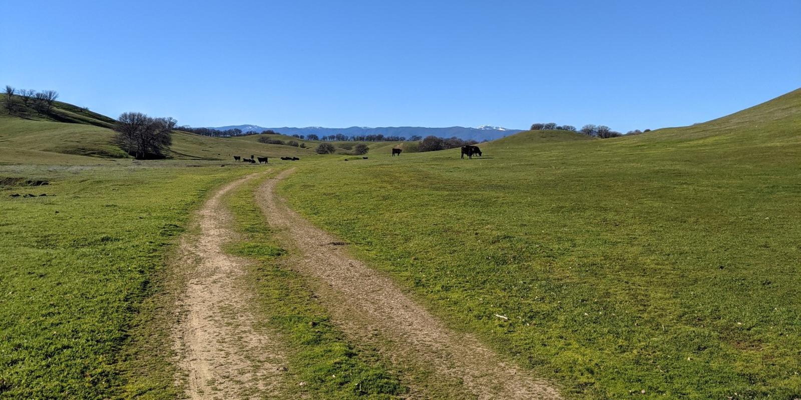 4 Things You Need to Know to Sell Land in California Sell The Land Now!