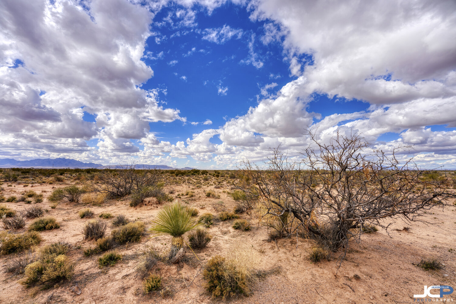 Tips to Sell Vacant Land in New Mexico Sell The Land Now!