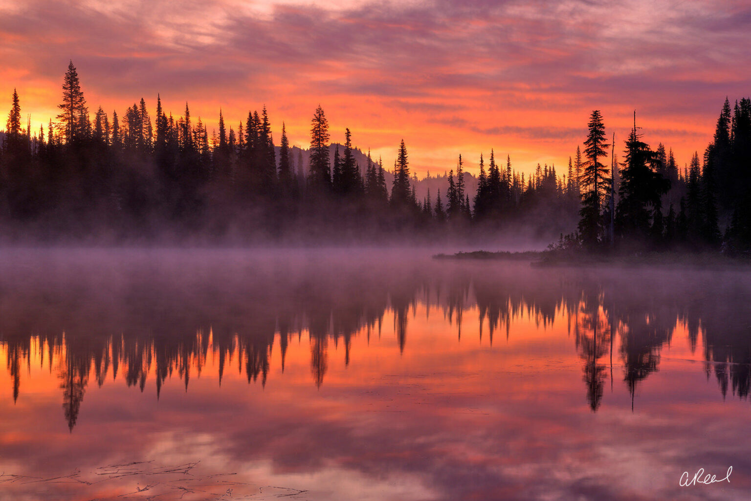 Tips to Sell Vacant Land in Washington Sell The Land Now!