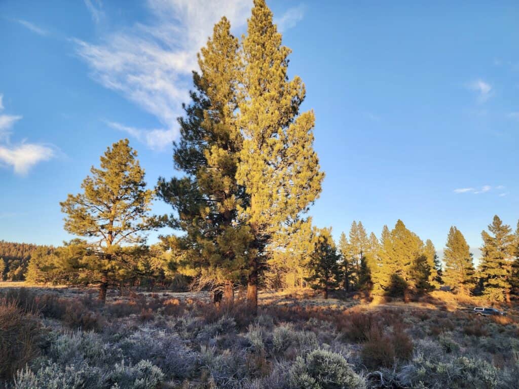 Vacant Land Sold in Klamath County, OR