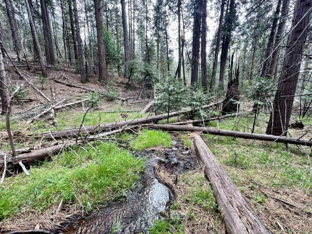 Vacant Land Sold in Amador, CA