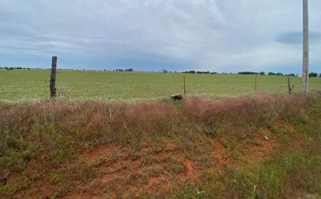 Vacant Land Sold in Beckham County, OK