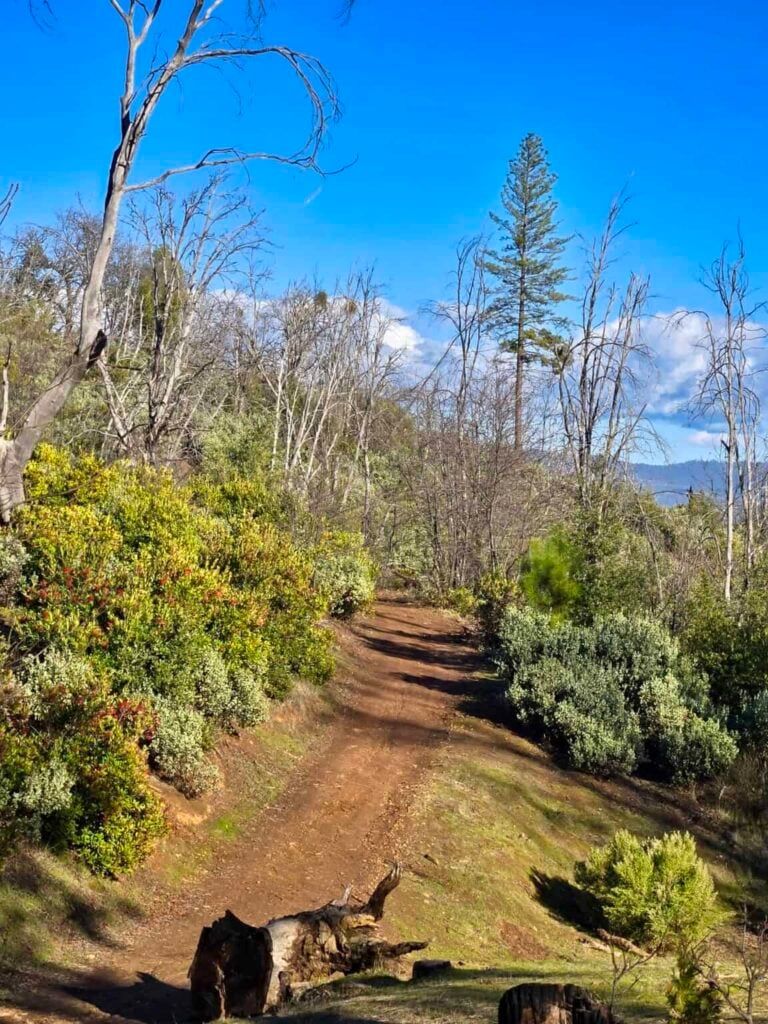 Vacant Land Sold in Calaveras, CA