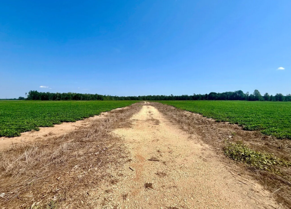 Vacant Land Sold in Escambia County, AL