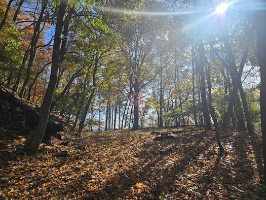 Vacant Land Sold in Fairfield County, OH