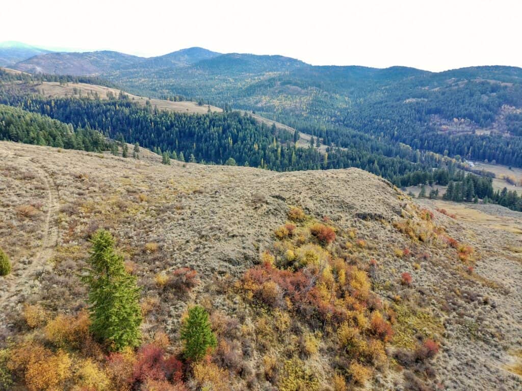 Vacant Land Sold in Ferry County, WA