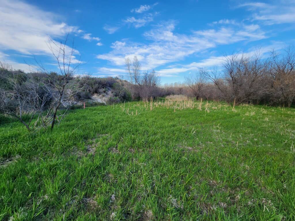 Vacant Land Sold in Fremont County, WY