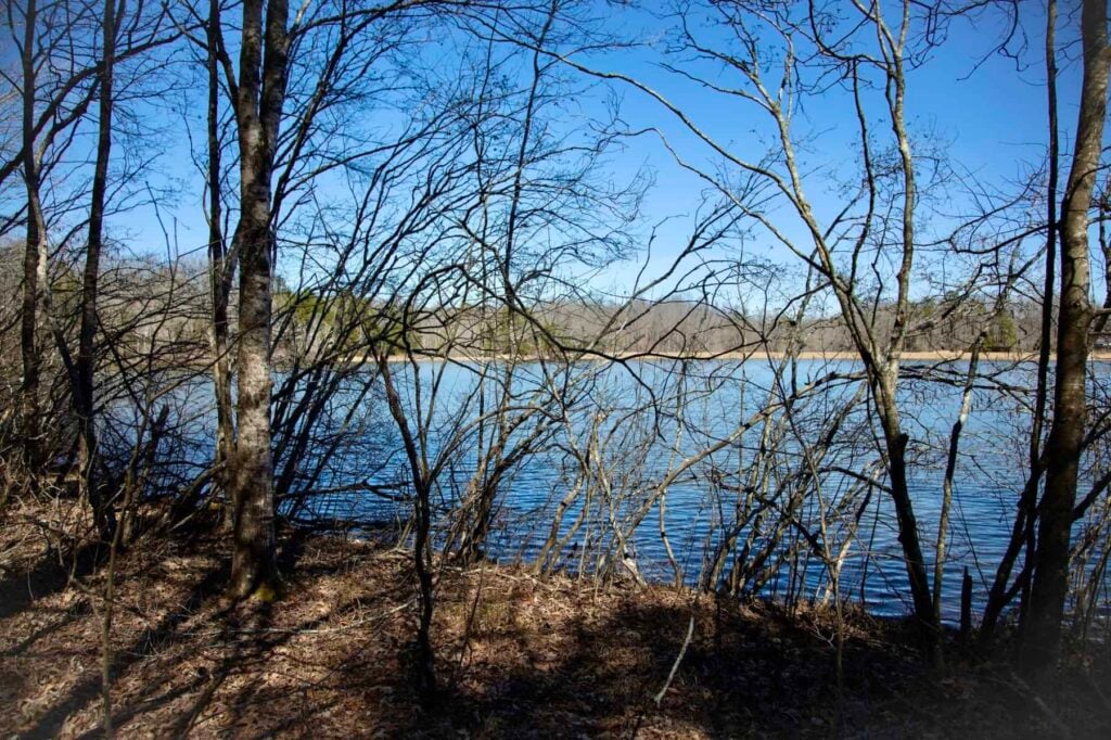 Vacant Land Sold in Hardeman County, TN