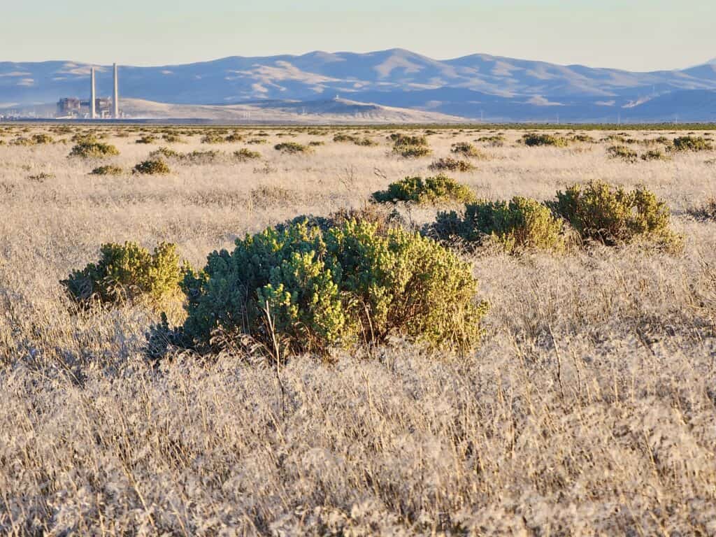 Vacant Land Sold in Humboldt County, NV