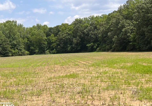 Vacant Land Sold in Madison County, AL