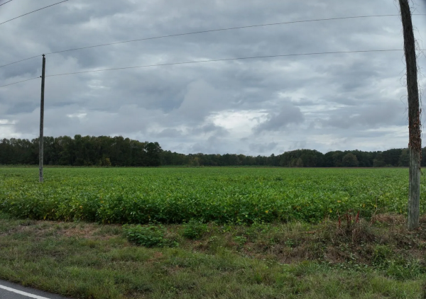 Vacant Land Sold in Nash County, FL