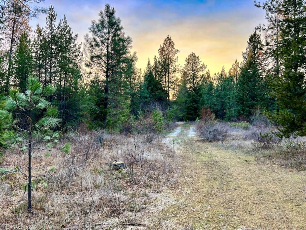 Vacant Land Sold in Stevens County, WA