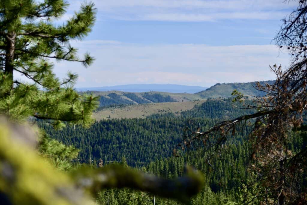 Vacant Land Sold in Yakima County, FL