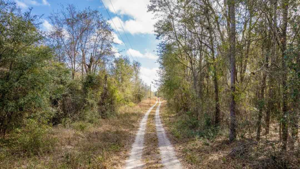 Vacant Land Sold in Madison County, FL